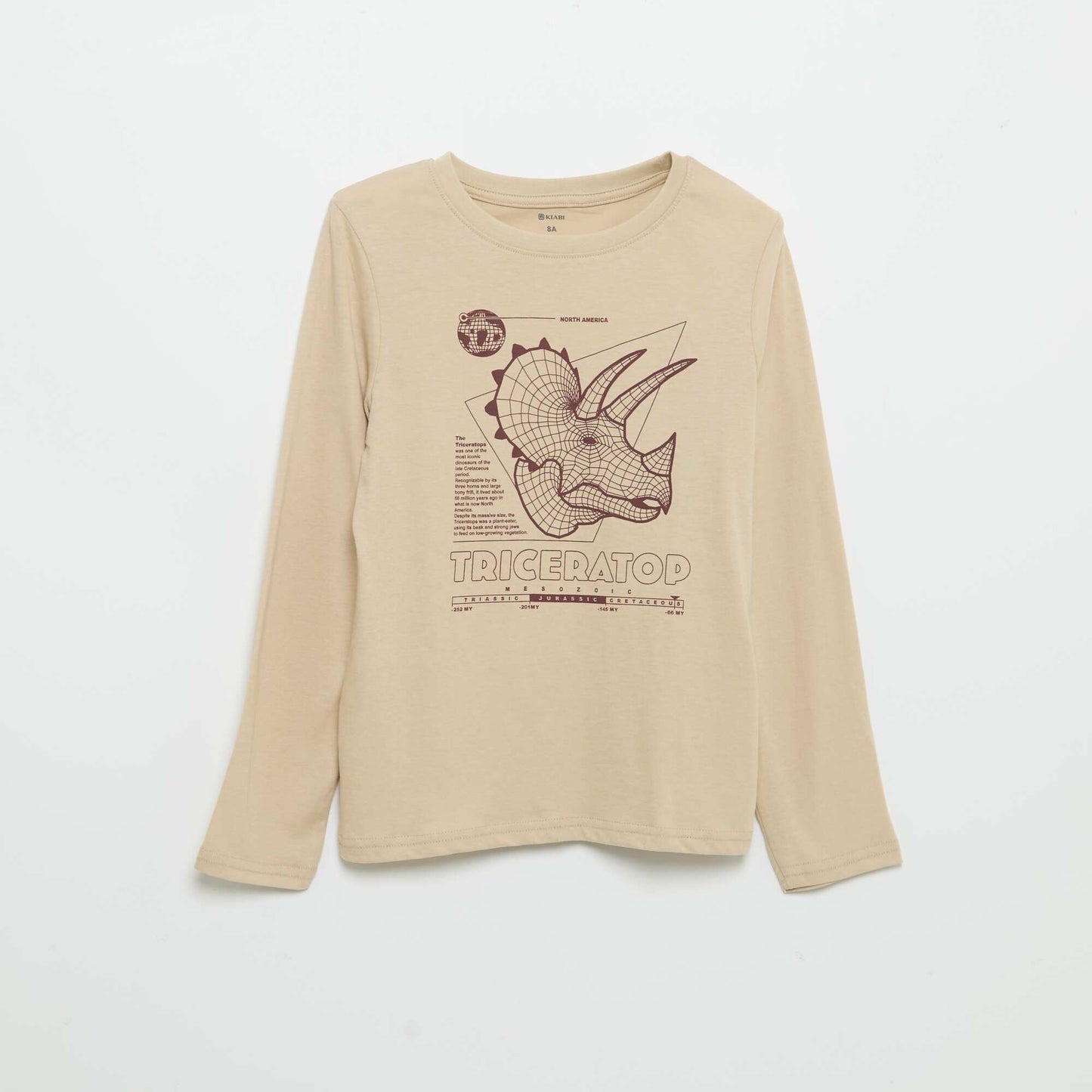 Long-sleeved printed T-shirt BEIGE