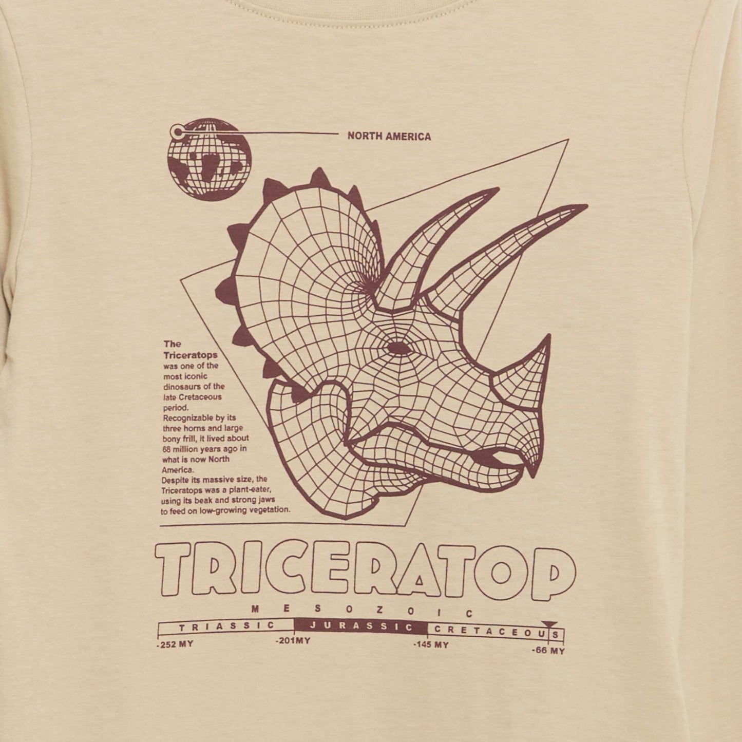 Long-sleeved printed T-shirt BEIGE