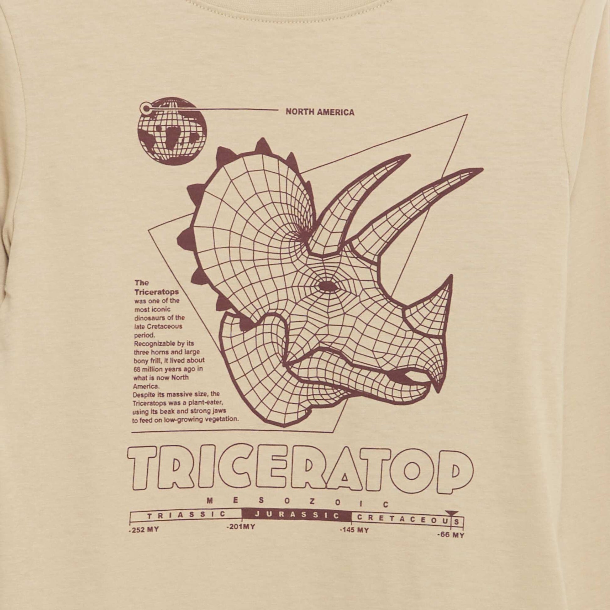 Long-sleeved printed T-shirt BEIGE